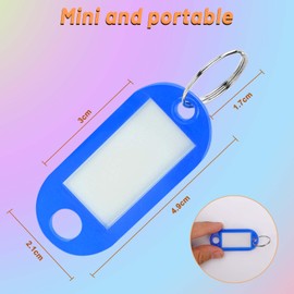 Mkitnvy Pack of 100 Key Rings with Key Rings 10 Interchangeable Colours Key Tags for Labelling Various Items such as Keys, Luggage, Pets