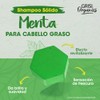 Shampoo Sólido con Menta para Cabello Graso, 75gr