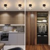 Goeco 2 Pack Crystal Ceiling Light, Modern Industrial Semi Flush