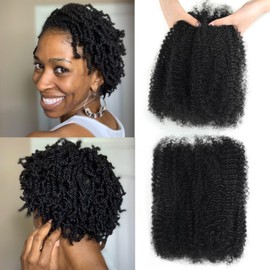 poetically 10 Inch Afro Kinkys Bulk Human Hair 2 Bundles 100g Natural Black Afro Kinky-Curly Human Hair Bulk for Twist/Dreadlock Extensions/Repair Locs/Braids Mini Twist Braiding Hair