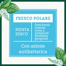 Antica Erboristeria, Zahnpasta, 1 x 75 ml Polare Frische
