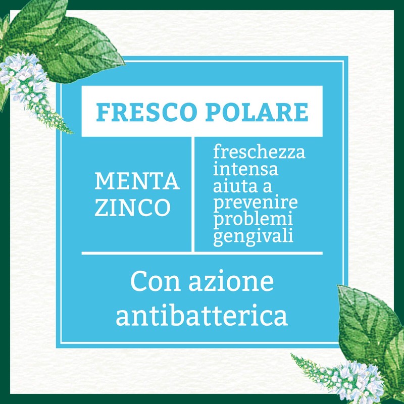 Antica Erboristeria, Zahnpasta, 1 x 75 ml Polare Frische