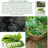 Spacemaster Cucumber Seeds, 100+ Heirloom Seeds Per Packet, (Isla's Garden