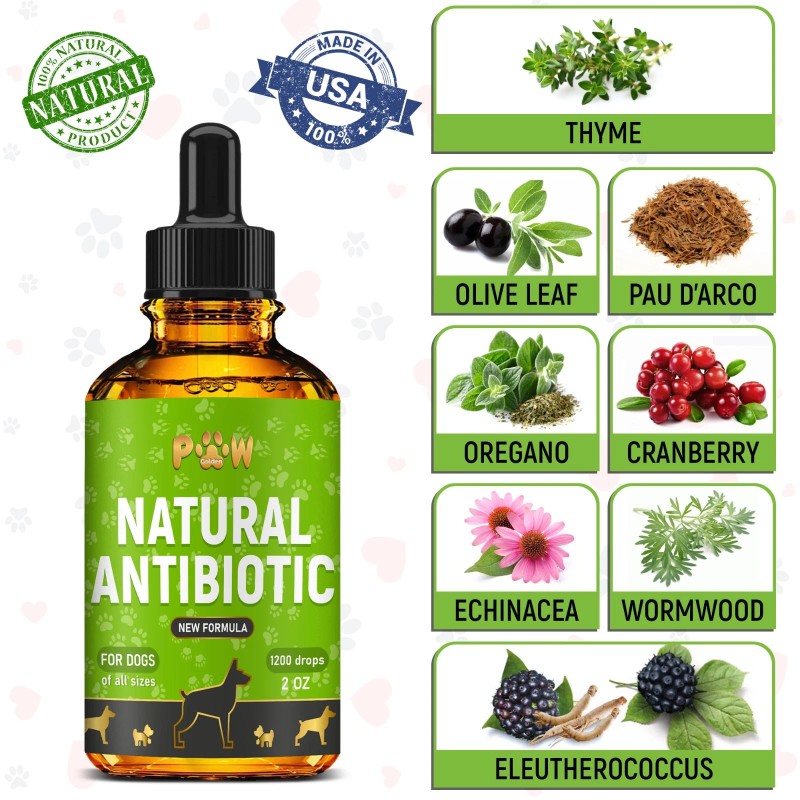 GoldenPaw Dog Antibiotics for Infections, Cough, UTI & Allergy Relief