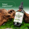 Mullein Drops for Lungs - Organic Mullein Leaf Extract for