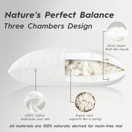 Globon Luxury Down Pillows Queen Size Set of 2, 100% Cotton Shell Hotel Collection Bed Pillow for Sleeping, Soft Support Medium Firm Down Surrounded Feather Pillow 20" x 30"