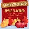 Mott's Fruit Flavored Snacks, Apple Orchard, Gluten Free Snack, Value