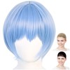 CaseEden WIG6080 Cosplay Wig, Full Wig, Heat Resistant, Short, Center