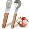Juego de 2 palas para helado, acero inoxidable con mango