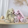 Histoire d 'Ours Plush Friends Cuddly Toy Rabbit Rabbit 40