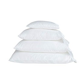 Jasmine Silk Luxury 100% Mulberry Silk Boudior Pillow (30 x 40cm)