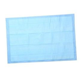 Generic Super Absorbent Dog Training Pads Puppy Pee Pads for Indoor Potty Training for Travel Pet Cage and Hotel Use