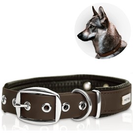 PetTec Comfortable Dog Collar, Permanent & Robust; Made with Strong, Tear Resistant Trioflex, Perfect Size for Big or Small Dogs, Great Fit with Padding Weatherproof and Waterproof (Brown)