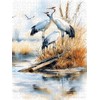 CALVENDO Puzzle Cranes | Size
