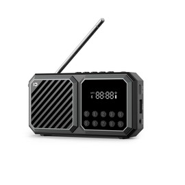 SHIDU Portable FM Radio with Bluetooth Speaker, Tf Card Player, Auto Scan Save Support USB AUX, Rechargeable Battery for Home, Camping, Outdoor