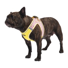 AMTOR Dog Harness with Leash Set,No Pull Adjustable Reflective Puppy Harness with Padded Vest for Extra-Small/Small Medium Large Dogs and Cats(Yellow)