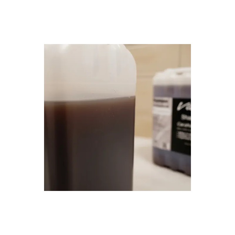 Shampoo De Cacahuananche Fortalece Y Nutre El Cabello 20 Lts