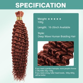 Deep Wave Bulk Human Braiding Hair 100g 28 Inch Color 350 Human Braiding Hair for Boho Braids 2 Bundles/Pack No Weft 100 Percent Brazilian Human Braiding Hair Extensions for Micro Braiding