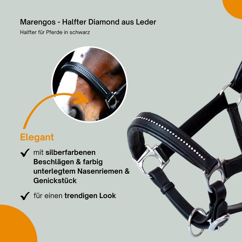 Marengos - Diamond Leather Headcollar | Halter for Horses |