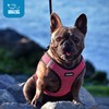 Voyager Step-in Air Dog Harness - All Weather Mesh, Reflective,