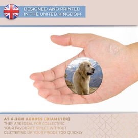 Destination Vinyl ltd Magnet for Refrigerator, Fridge - Cute Pyrenees Mountain Dog for Office, Cabinet and Whiteboard, Magnetic Stickers, 3592