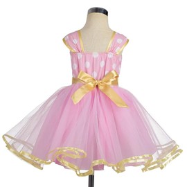 Dressy Daisy Toddler Girl Polka Dots Fancy Dress Up Costume Birthday Party Tulle Dresses with Headband Size 2T to 3T Pink 203