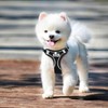 RAFIYU Dog Harness Medium Breathable Vest, Step-in Cat Puppy Harness