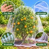 Transparent Anti-Bird Netting for Garden, Grapes, Orchard & Fishpond –