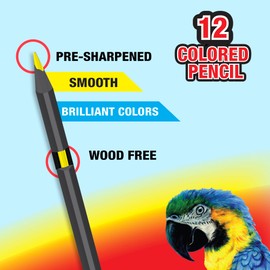 BAZIC Colored Pencils, 12 Assorted Colors, Pre-Sharpened Wood Free Coloring Pencil Set, for Art Drawing Sketching, Gift for Artist Adult (12/Pack), 1-Pack