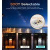 CLOUDY BAY [6 Pack] 3CCT Low Voltage LED Deck Lights