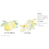 MUJI Bubble Face Wash Foam for Sensitive Skin
