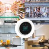 Smart Gas Leak Detector Highly Sensitive Combustible Gas Alarm WiFi