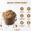 Habits by Not a Fancy Kitchen – Combo Proteína Vegetal