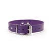 Avery I Collar Handmade Sturdy Latigo Leather Elegant Design (Purple,