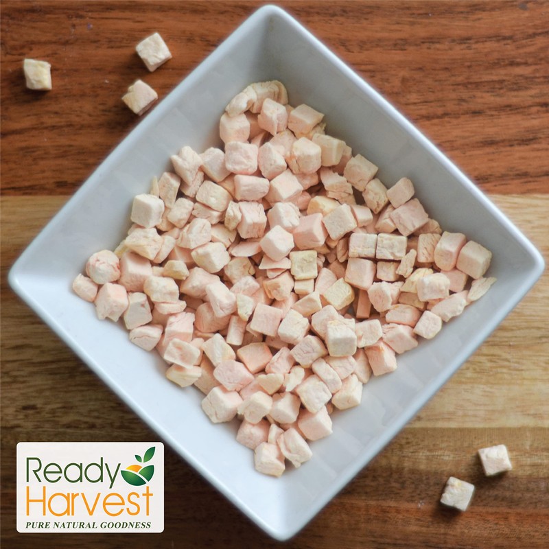 Ready Harvest Freeze-Dried Sweet Potatoes | Camper Must-Haves Camping Essentials