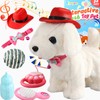 Labrador Walking Dog Toy Barking Dog for Kid Licking Puppy