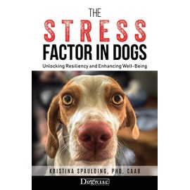 The Stress Factor in Dogs: Unlocking Resiliency and Enhancing Well-Being