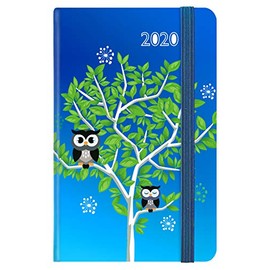 Idena 11430 - Motif Calendar 2020 Owl 9 x 14 cm