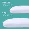 Casper Sleep, Standard Hybrid Pillow, Two Pack, White 2 Count