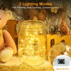 btfarm 12 Pack Fairy Lights Battery Operated [3 Modes], 7ft
