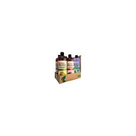Caja 6pz Surtida Shampoo Secreto Herbal Romero Chile Bergamota