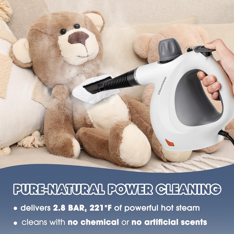 Pressurized Handheld Steam Cleaner with 14 pcs Accessories 15.2OZ Multi-Purpose