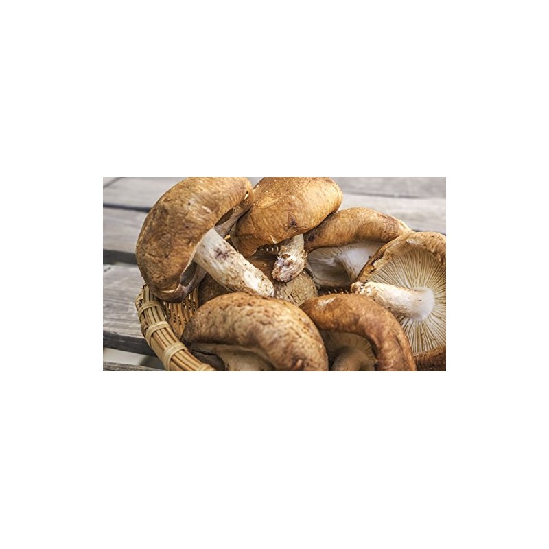 [100% Made in Japan] Shiitake Mushrooms, Powder Free, 2.5 oz