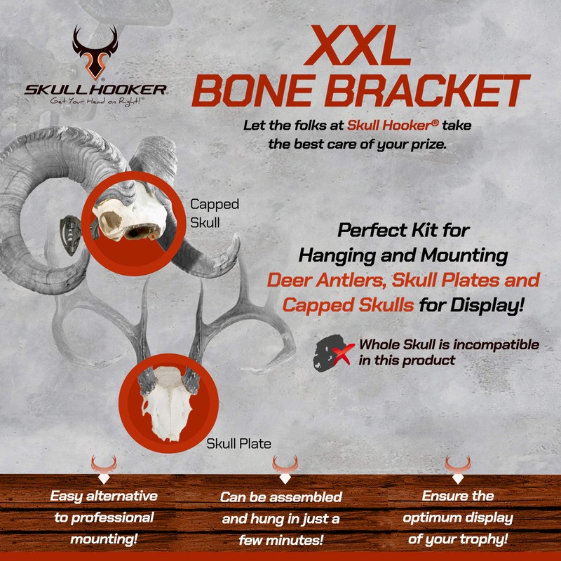 Skull Hooker Powder-Coated Steel XXL Bone Bracket – Designed to