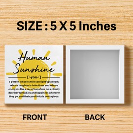 Human Sunshine Gifts, Thank You Appreciation Gifts for Coworker Friend Teacher Mentor, Human Sunshine Gifts for Home Office Desk Decor