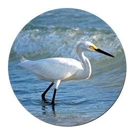 Fashion Jewelry EGRET BIRD OCEAN WATER Large Pendant Charm GERMAN Silver 20" Necklace Chain Gift