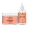 Shea Moisture / Coconut and Hibiscus / Hold/Shine Moisture Mist