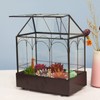 Large Tall Glass Plant Terrarium – House Succulent Terrarium Kit