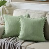 Fancy Homi Pack of 2 Sage Green Decorative Throw Pillow