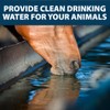 Airmax Stock Tank Defense, Livestock Water Trough Cleaner, Clean Drinking